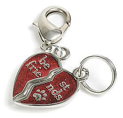 Preview of Best Friends Charm.